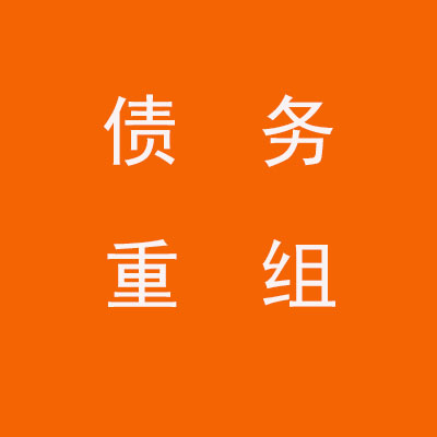 铁锋个人债务重组优化